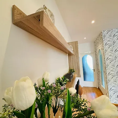 Oli's House 아파트